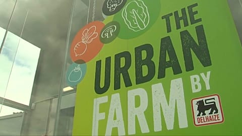 Belgian supermarket starts serving homegrown produce from rooftop garden