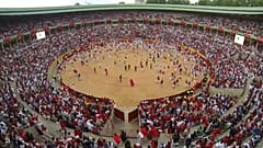 Proteste gegen Stierhatz in Pamplona