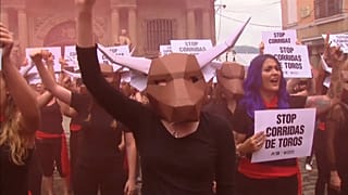 Protesters against abuse of bulls in Pamplona