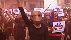 san fermin boğa güreşi protestoları