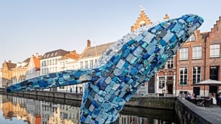 Five tonnes of plastic waste from the sea is transformed into a leaping 12 metre tall whale in Belgium's Bruges canal