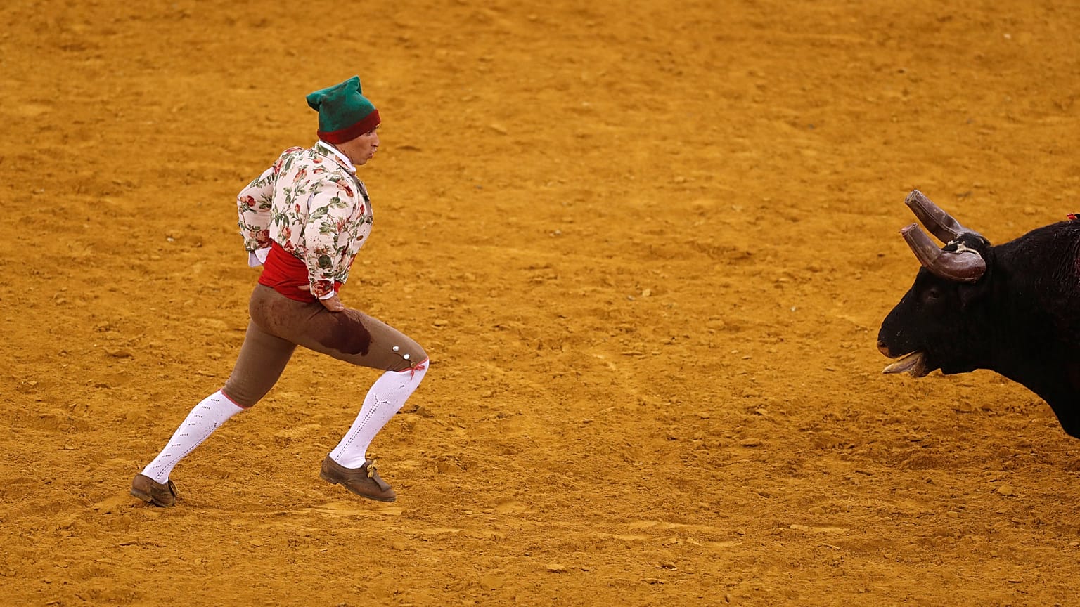 Parlamento chumba projeto do PAN para abolir corridas de touros em Portugal