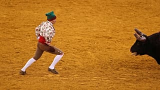 Parlamento chumba projeto do PAN para abolir corridas de touros em Portugal