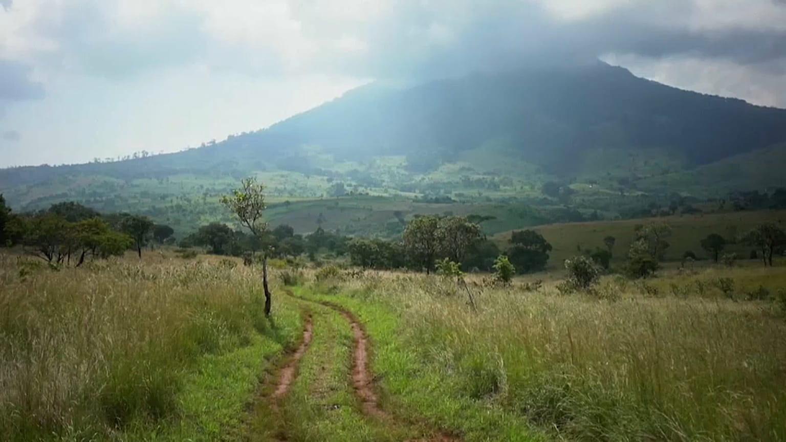 Gorongosa: um caminho para o futuro