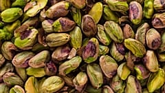 Nuts are beyond nutritious — they improve brain function