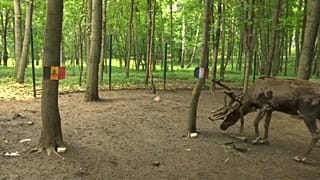 La rena Yasha prevé la victoria de Francia ante Bélgica
