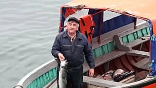 Chile: escapan cientos de miles de salmones tratados con antibióticos