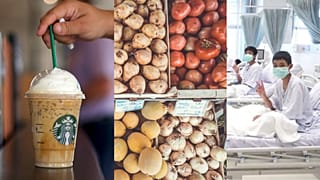 Feeling good: positive stories from the week