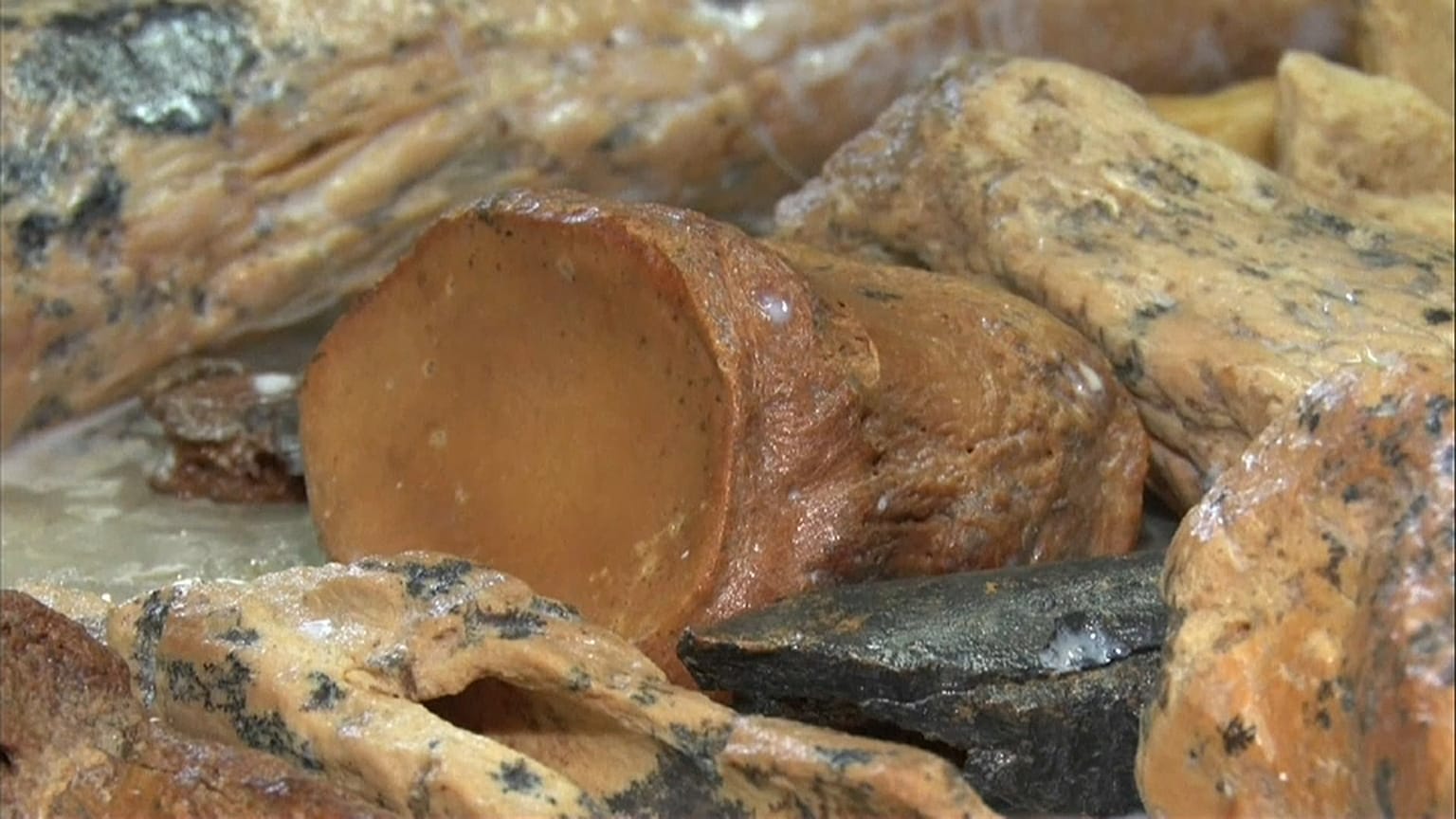 Restos de mamuts en Crimea 