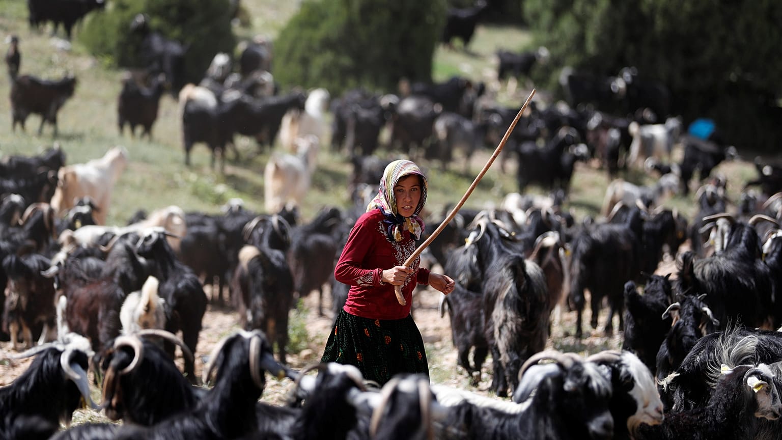 Son göçebe Yörükler