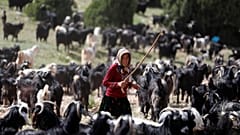 Son göçebe Yörükler