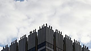 ¿Qué países de la UE registran las tasas de suicidio más altas?