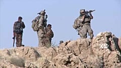 Offensive antidjihadiste en Irak