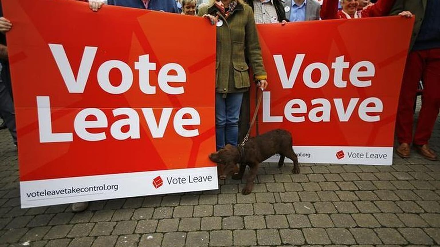 Brexit campaign group Vote Leave fined and reported to police for 'breaking electorial law'