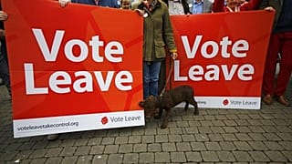 Brexit campaign group Vote Leave fined and reported to police for 'breaking electorial law'