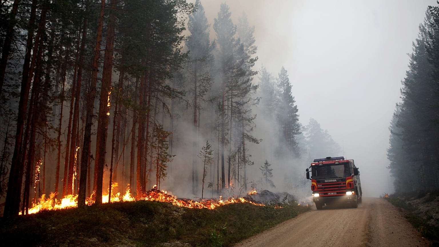Ein Waldbrand nahe Ljusdal