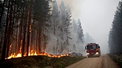 Ein Waldbrand nahe Ljusdal