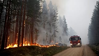 Ein Waldbrand nahe Ljusdal