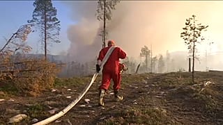 Auch am Polarkreis: Verheerende Feuersbrünste in Schweden