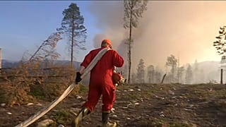 Пожары за полярным кругом