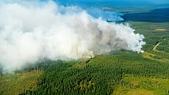 Vista aérea de uno de los incendios, cerca del municipio de Ljusdal