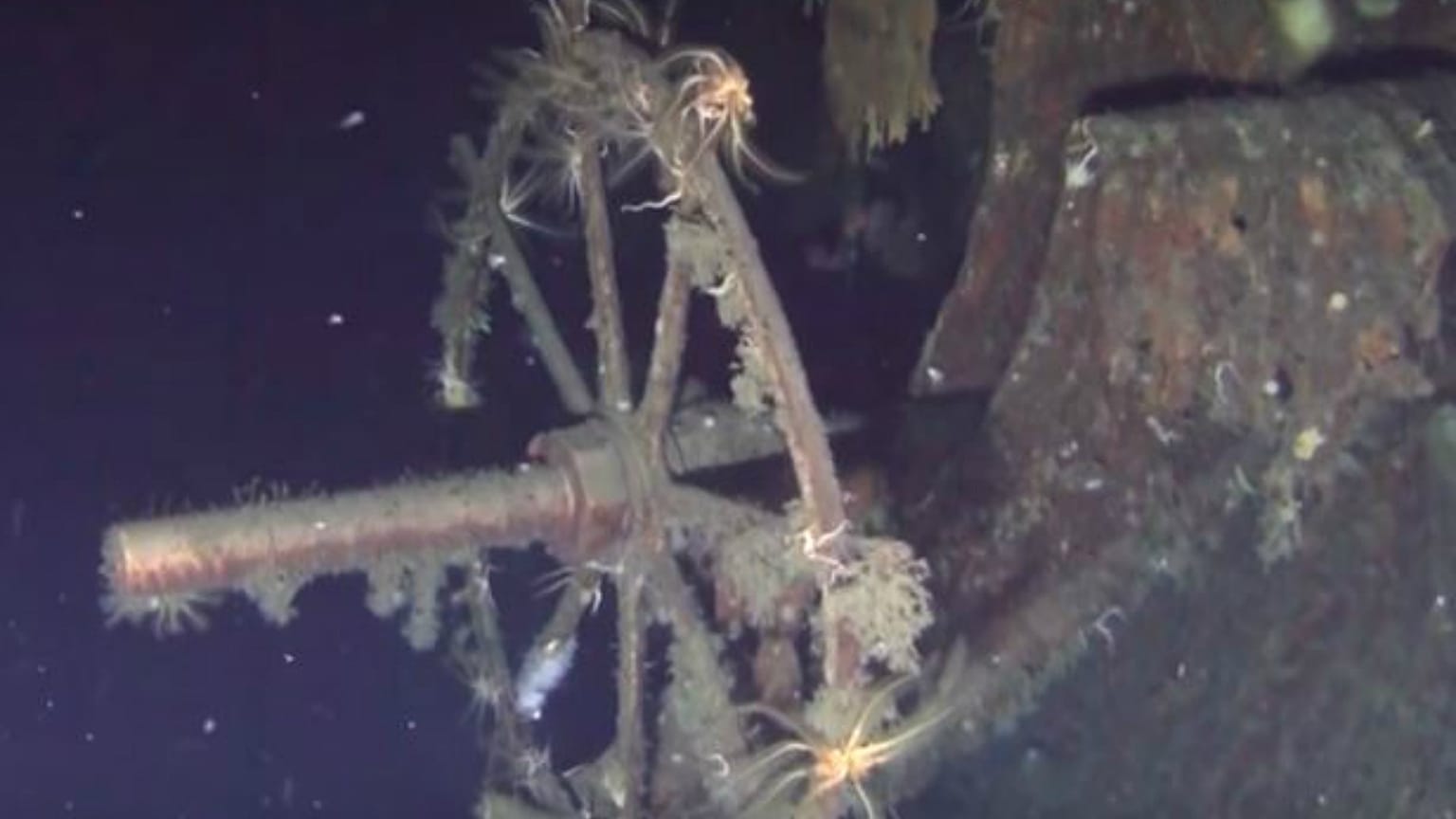 Russian shipwreck could be laden with lost gold: The Cube