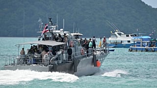 Alarm am Strand: 3 Meter Krokodil vor Phuket fotografiert