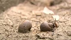 Extrém időjárás a távol-keleten