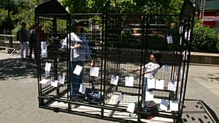 NO COMMENT: uma jaula que é arte e protesto
