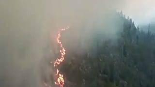 Σουηδία: Πολιτική αντιπαράθεση για τις δασικές πυρκαγιές 