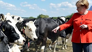 "Urlaub ist Urlaub" - Angela Merkel in 10 Tweets