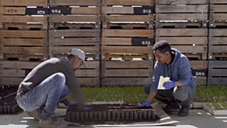 Refugiados para repoblar los pueblos