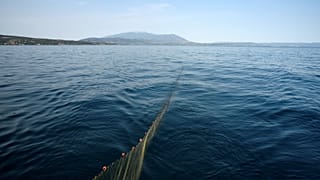 La UE y Marruecos logran cerrar su acuerdo sobre pesca