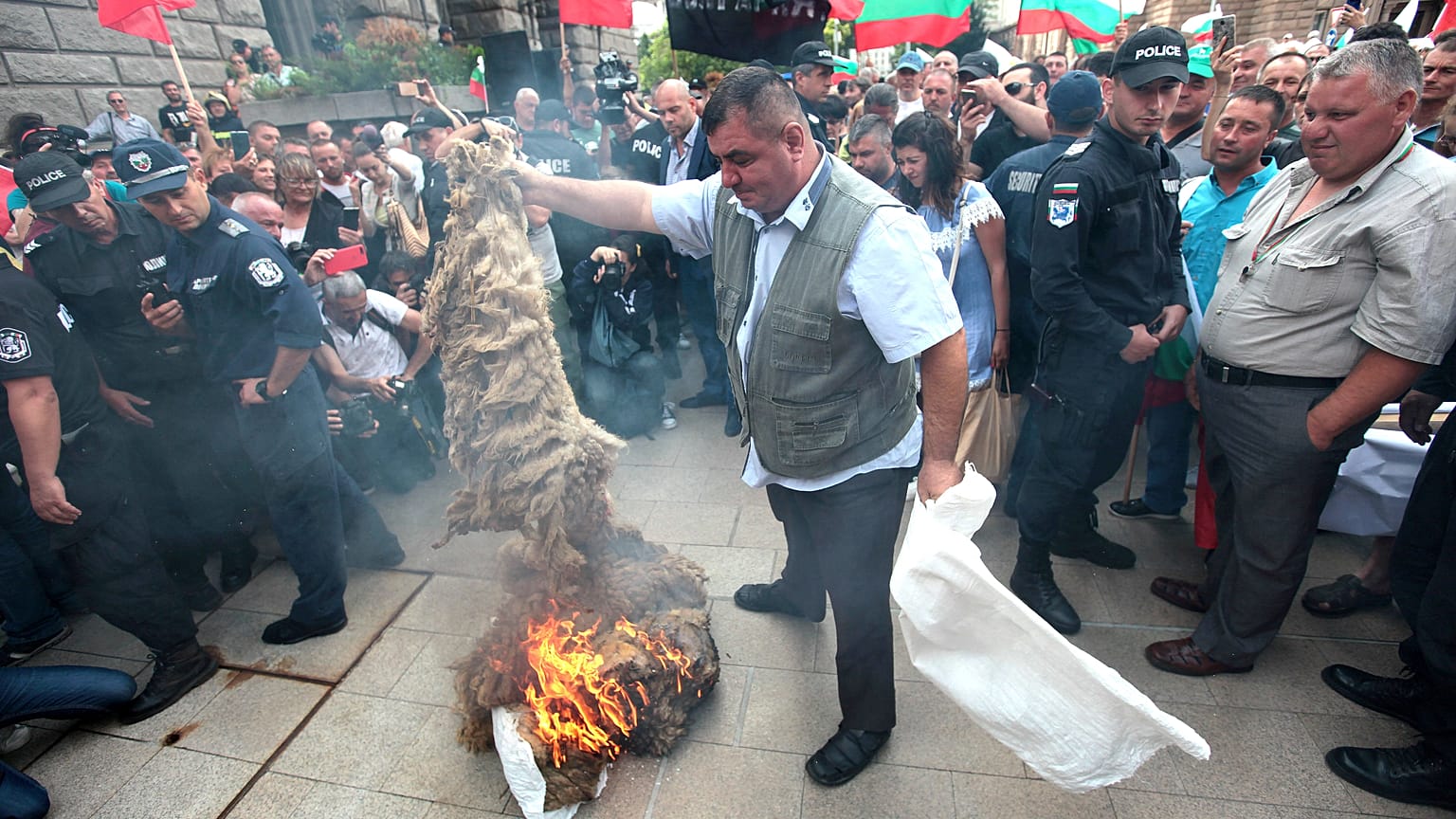 Bulgaria, il massacro degli "innocenti". Allevatori contro il governo