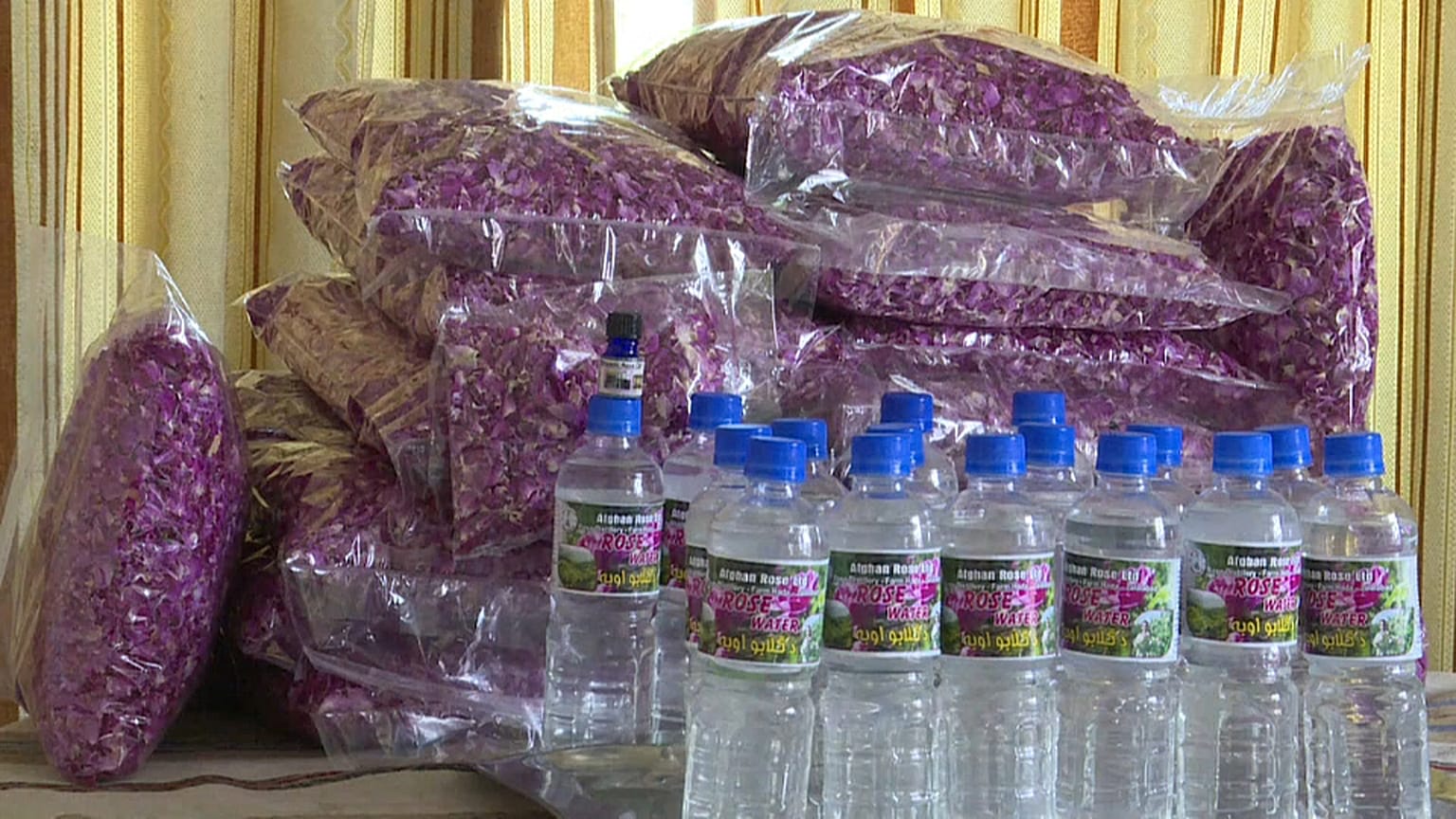 أفغانستان : مبادرة لاستبدال "صناعة الحروب" بانتاج عطور الورود 