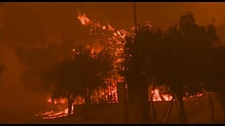 Fogos avançam nos arredores de Atenas