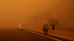 Schreckliche Feuer in Griechenland: 10 Fotos