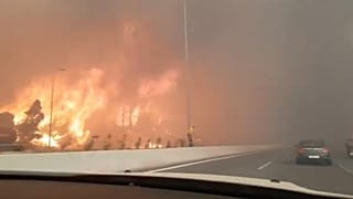 Griegos cuentan cómo lograron escapar de los mortales incendios | The Cube