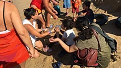 Italy: Holidaymakers and locals help rescue 56 migrants who arrive by boat