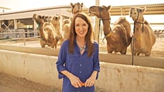 Inspire Middle East : le camelccino, vous connaissez ? 