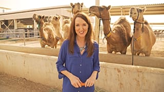 Inspire Middle East : le camelccino, vous connaissez ? 