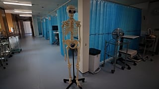 Your brain in the cloud? How the tech world wants to disrupt death