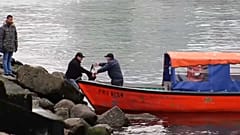 В Чили фермерский лосось "сбежал" в море