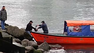 В Чили фермерский лосось "сбежал" в море