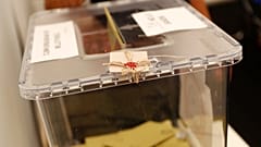 Movimentos pan-europeus vão à conquista de votos