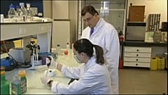 Mutagénese deve respeitar legislação europeia