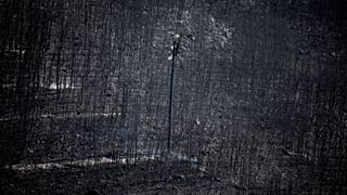El trágico incendio griego podría haber pasado en España