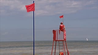 Blaualgenalarm an der Ostsee