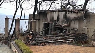 Nach Waldbränden in Athen beginnt erste Schadensermittlung