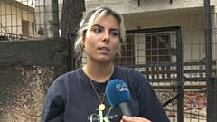 Meet the woman helping animals abandoned in Greece’s wildfire inferno